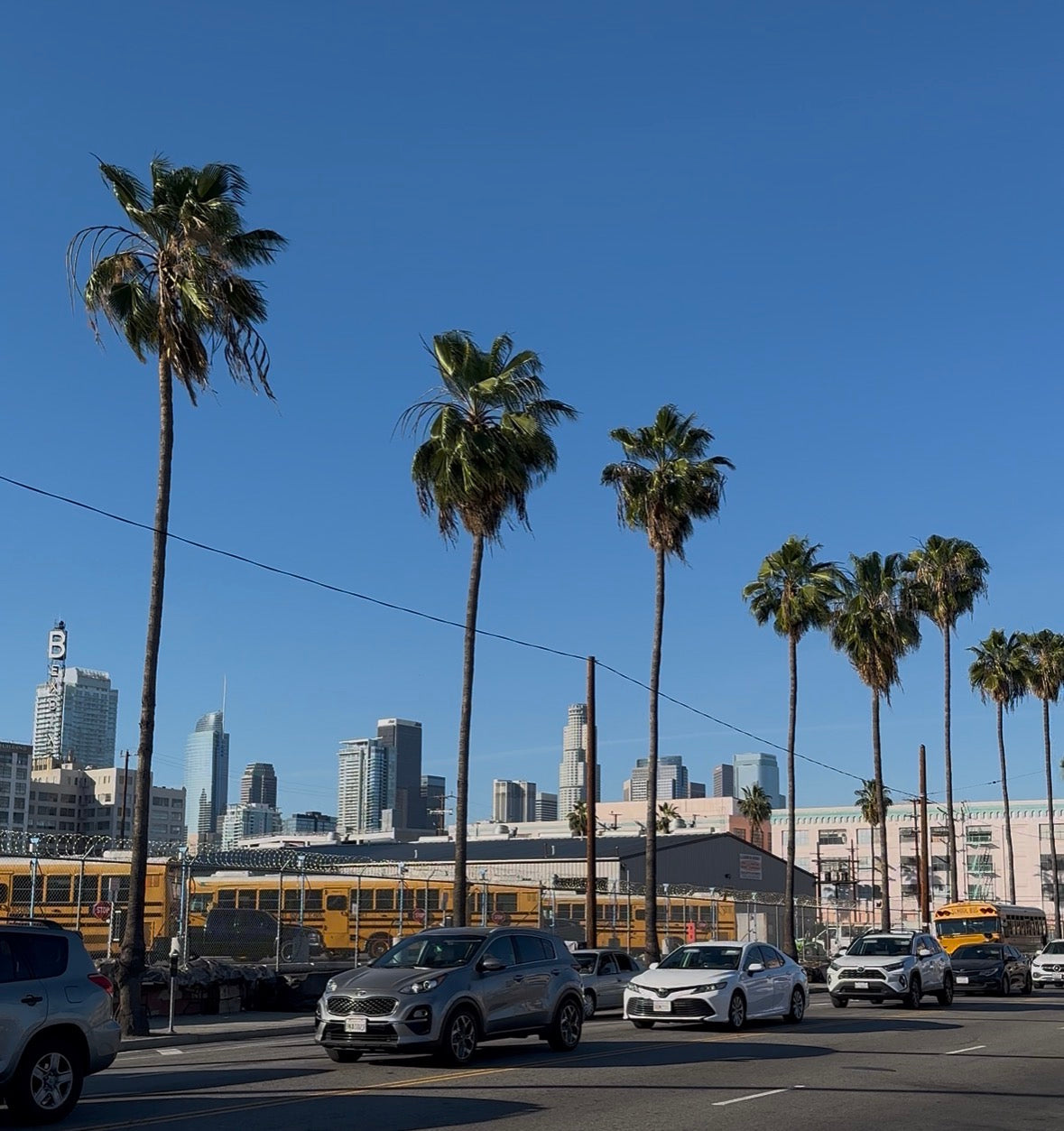 Street scene with palm trees, cars, and city skyline under a clear blue sky.